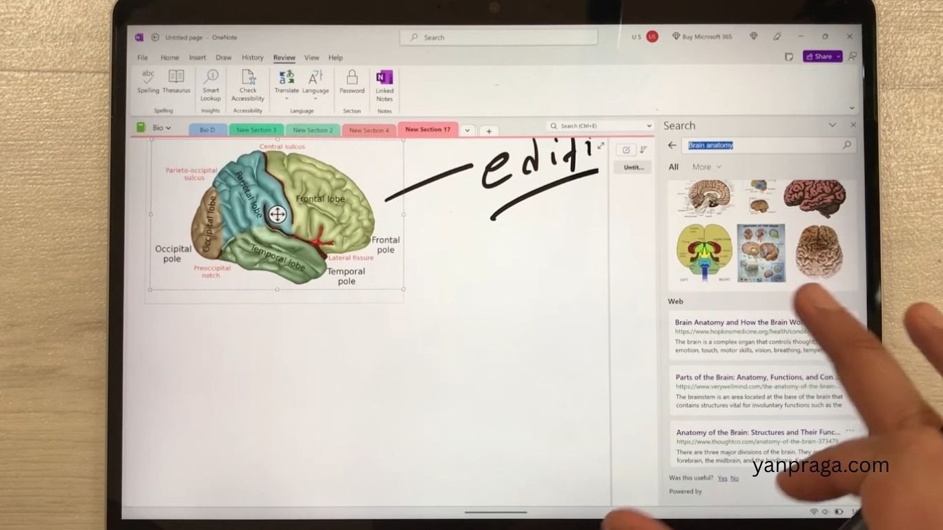 Microsoft OneNote