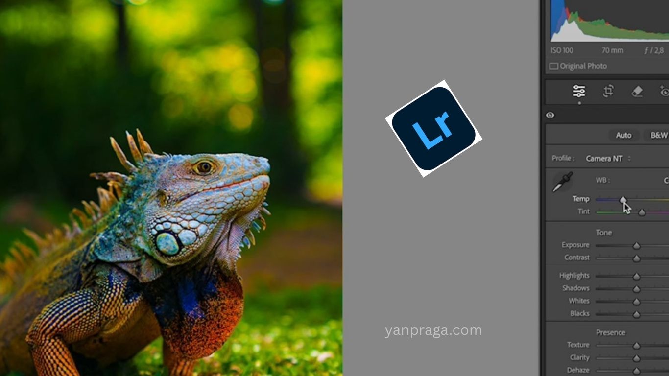 best photo editing apps